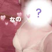 ヒメ日記 2025/11/08 07:02 投稿 なの かぐや姫