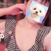 ヒメ日記 2025/12/28 08:16 投稿 なの かぐや姫