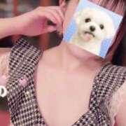 ヒメ日記 2026/02/08 08:03 投稿 なの かぐや姫