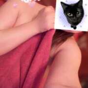 ヒメ日記 2026/02/28 07:54 投稿 なの かぐや姫