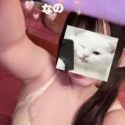 ヒメ日記 2026/03/04 08:31 投稿 なの かぐや姫