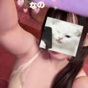 ヒメ日記 2026/03/26 08:16 投稿 なの かぐや姫