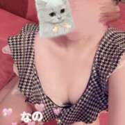 ヒメ日記 2026/03/27 08:13 投稿 なの かぐや姫