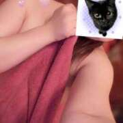 ヒメ日記 2026/04/02 08:17 投稿 なの かぐや姫