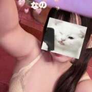 ヒメ日記 2026/04/03 08:12 投稿 なの かぐや姫