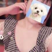 ヒメ日記 2026/04/06 08:10 投稿 なの かぐや姫