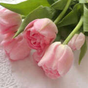 ゆな 本日もありがとうございました🩷 モアグループ川越人妻花壇