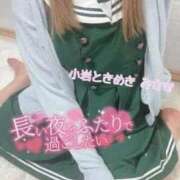 ヒメ日記 2025/12/29 12:09 投稿 みさき 小岩ときめき女学園