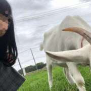 ヒメ日記 2025/08/13 23:43 投稿 早川579(hayakawa) 健康寿命を延ばす！恋愛コミュニティ otsto(オトスト)