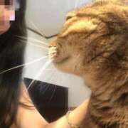 ヒメ日記 2025/09/13 11:03 投稿 早川579(hayakawa) 健康寿命を延ばす！恋愛コミュニティ otsto(オトスト)