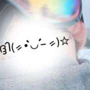 ヒメ日記 2025/12/12 08:53 投稿 早川579(hayakawa) 健康寿命を延ばす！恋愛コミュニティ otsto(オトスト)