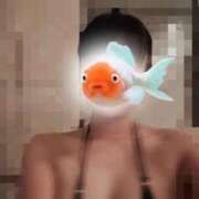 ヒメ日記 2026/02/11 01:13 投稿 早川579(hayakawa) 健康寿命を延ばす！恋愛コミュニティ otsto(オトスト)