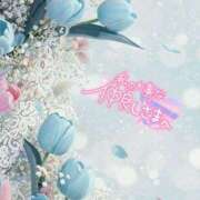 ヒメ日記 2025/07/16 10:46 投稿 やえ 熟女家 京橋店