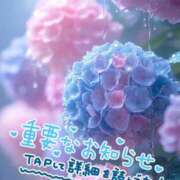 ヒメ日記 2025/07/24 12:26 投稿 やえ 熟女家 京橋店