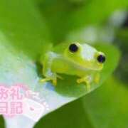 ヒメ日記 2025/07/30 15:20 投稿 やえ 熟女家 京橋店