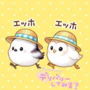 ヒメ日記 2025/08/01 12:56 投稿 やえ 熟女家 京橋店