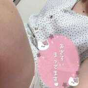 ヒメ日記 2025/08/04 10:16 投稿 やえ 熟女家 京橋店