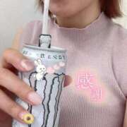 ヒメ日記 2025/08/14 12:36 投稿 やえ 熟女家 京橋店