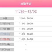 ヒメ日記 2025/11/26 10:26 投稿 やえ 熟女家 京橋店