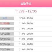 ヒメ日記 2025/11/29 12:56 投稿 やえ 熟女家 京橋店