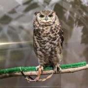 ヒメ日記 2025/07/05 12:36 投稿 なつみ 丸妻 厚木店