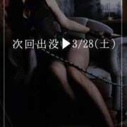 ヒメ日記 2026/03/23 20:44 投稿 夢子女王様 Club-Embassy