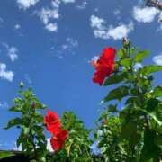 ヒメ日記 2025/07/09 18:58 投稿 まりん 渋谷じゃっくす