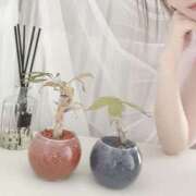 ヒメ日記 2026/03/17 12:00 投稿 白山みるく ワイフの楽園