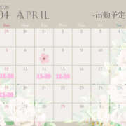 ヒメ日記 2026/04/11 20:05 投稿 白山みるく ワイフの楽園