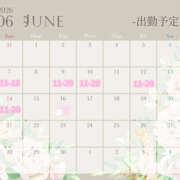 ヒメ日記 2026/06/06 16:46 投稿 白山みるく ワイフの楽園