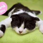 ヒメ日記 2025/08/13 19:32 投稿 藤崎ゆい ワイフの楽園