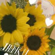 ヒメ日記 2025/09/01 06:27 投稿 藤崎ゆい ワイフの楽園