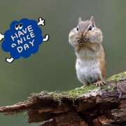 ヒメ日記 2025/09/11 08:51 投稿 藤崎ゆい ワイフの楽園