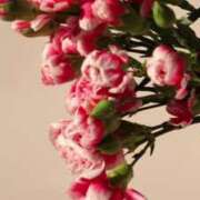 ヒメ日記 2025/09/20 20:45 投稿 藤崎ゆい ワイフの楽園