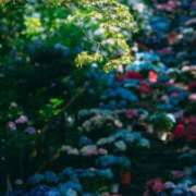 ヒメ日記 2025/09/23 20:35 投稿 藤崎ゆい ワイフの楽園