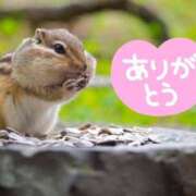 ヒメ日記 2025/11/03 17:55 投稿 藤崎ゆい ワイフの楽園