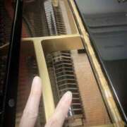 ヒメ日記 2025/09/22 19:34 投稿 橘こいと ワイフの楽園