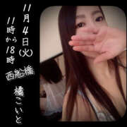 ヒメ日記 2025/11/03 18:18 投稿 橘こいと ワイフの楽園