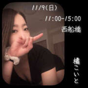 ヒメ日記 2025/11/08 17:57 投稿 橘こいと ワイフの楽園