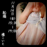 ヒメ日記 2025/11/13 21:11 投稿 橘こいと ワイフの楽園