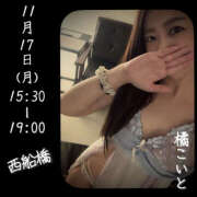 ヒメ日記 2025/11/16 21:05 投稿 橘こいと ワイフの楽園