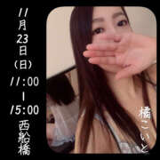 ヒメ日記 2025/11/22 20:45 投稿 橘こいと ワイフの楽園