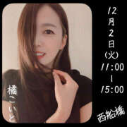 ヒメ日記 2025/12/01 19:41 投稿 橘こいと ワイフの楽園