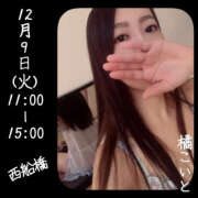 ヒメ日記 2025/12/08 22:38 投稿 橘こいと ワイフの楽園