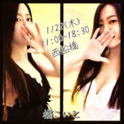 ヒメ日記 2026/01/21 22:07 投稿 橘こいと ワイフの楽園