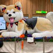 ヒメ日記 2025/09/24 14:24 投稿 小泉まい ワイフの楽園