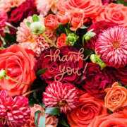 ヒメ日記 2025/09/25 14:17 投稿 小泉まい ワイフの楽園