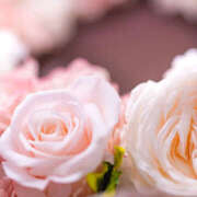 ヒメ日記 2025/10/01 00:01 投稿 小泉まい ワイフの楽園