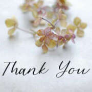 ヒメ日記 2025/12/12 00:12 投稿 小泉まい ワイフの楽園