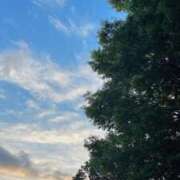 ヒメ日記 2025/07/15 07:06 投稿 ふうか ぼくらのデリヘルランドin久喜店